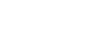 light logo