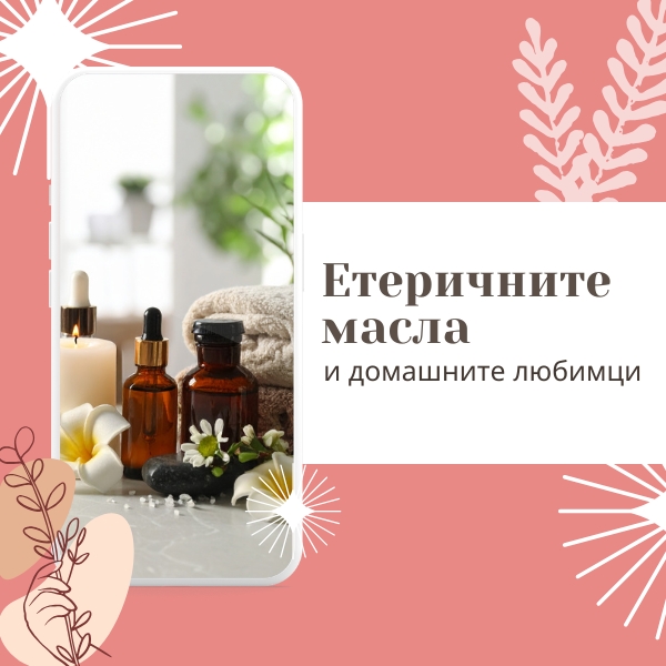 наръчник етеричните масла и домашните любимци